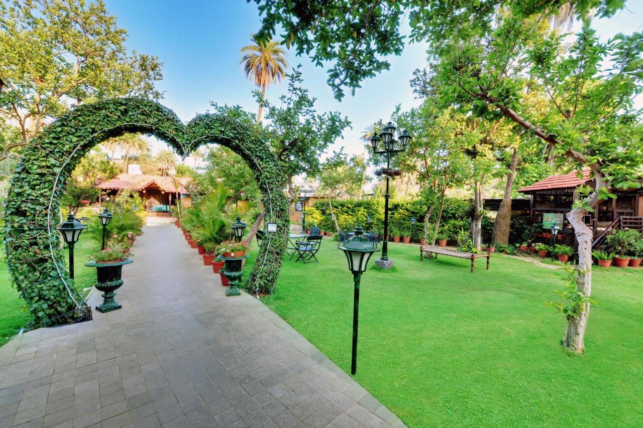 Chacha Inn The Garden Retreat Mount Abu Buitenkant foto